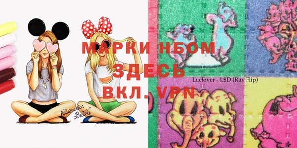 ALPHA PVP Белокуриха