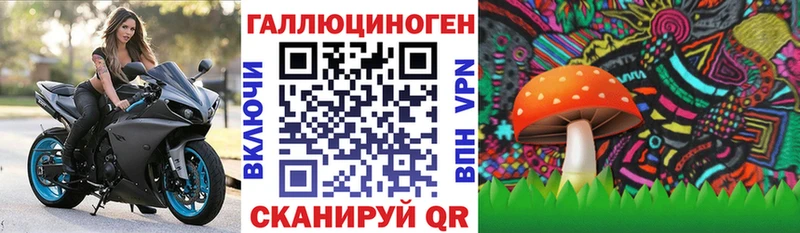 ссылка на мегу ссылки  Воркута  Псилоцибиновые грибы мицелий 